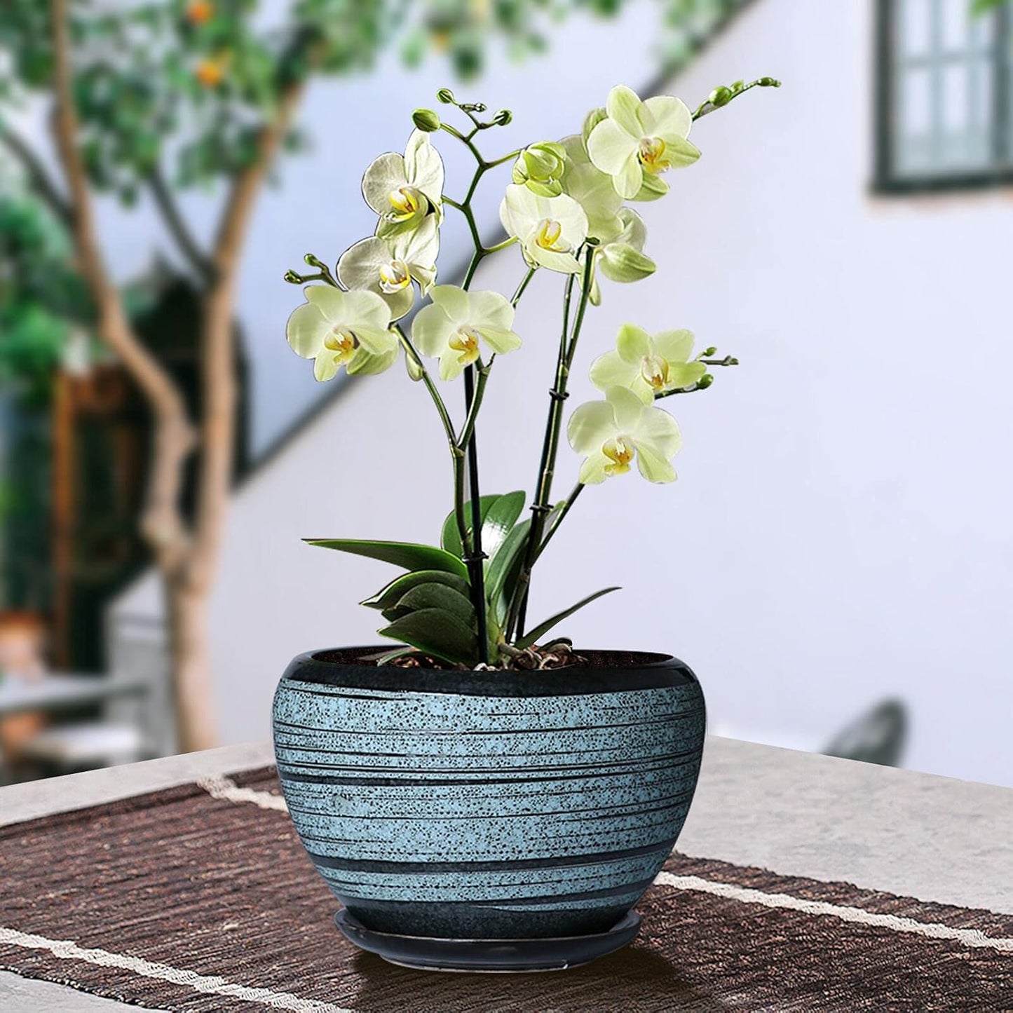 Blue Flower Pots round Ceramic Succulent Herbs Planters Small to Medium Sized with Connected Saucers for Home Balcony Office Set of 3 Indoor Outdoor