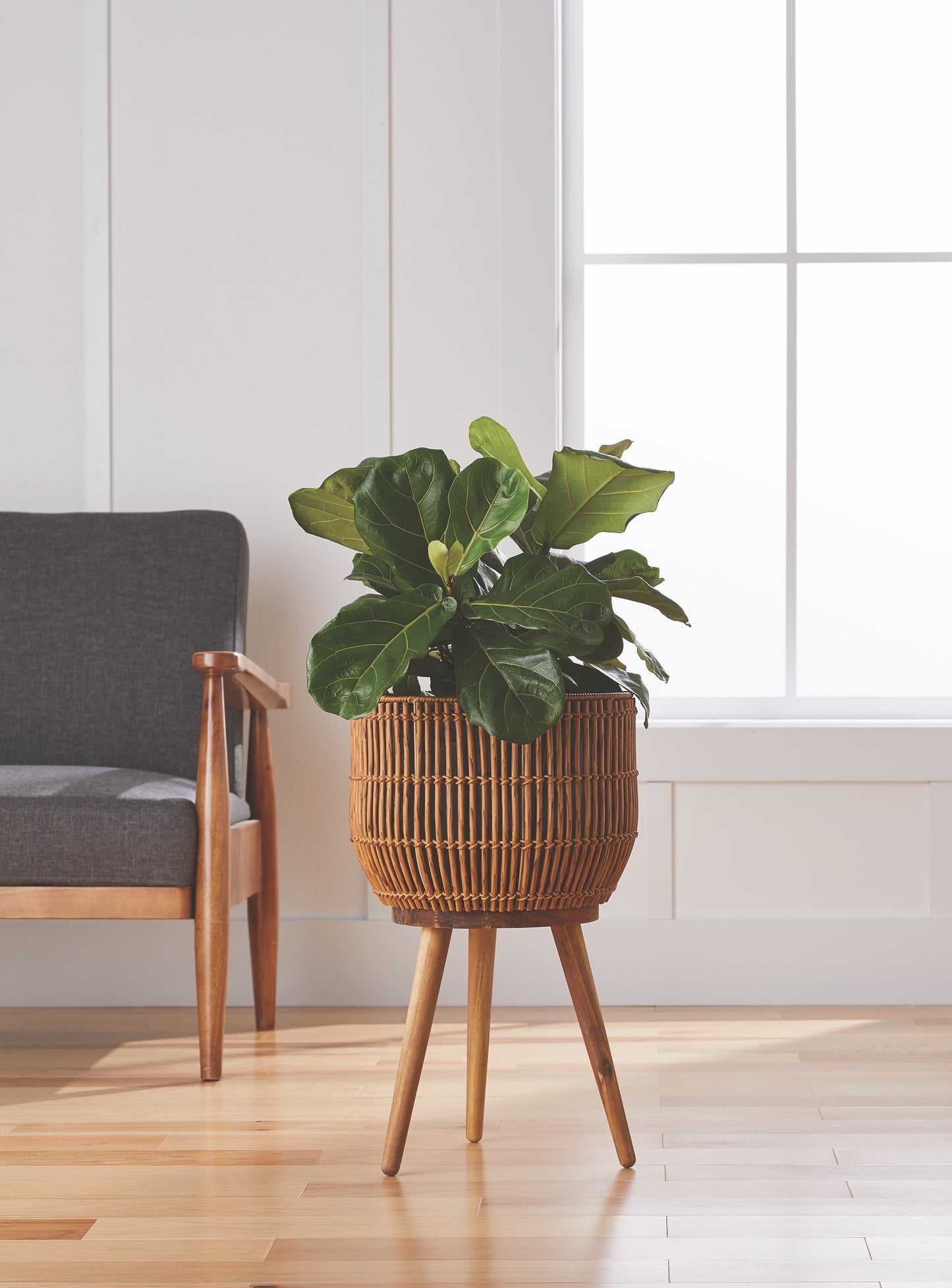 13 Inch round brown resin rattan planter with acacia wood stand holding a leafy plant indoors.
