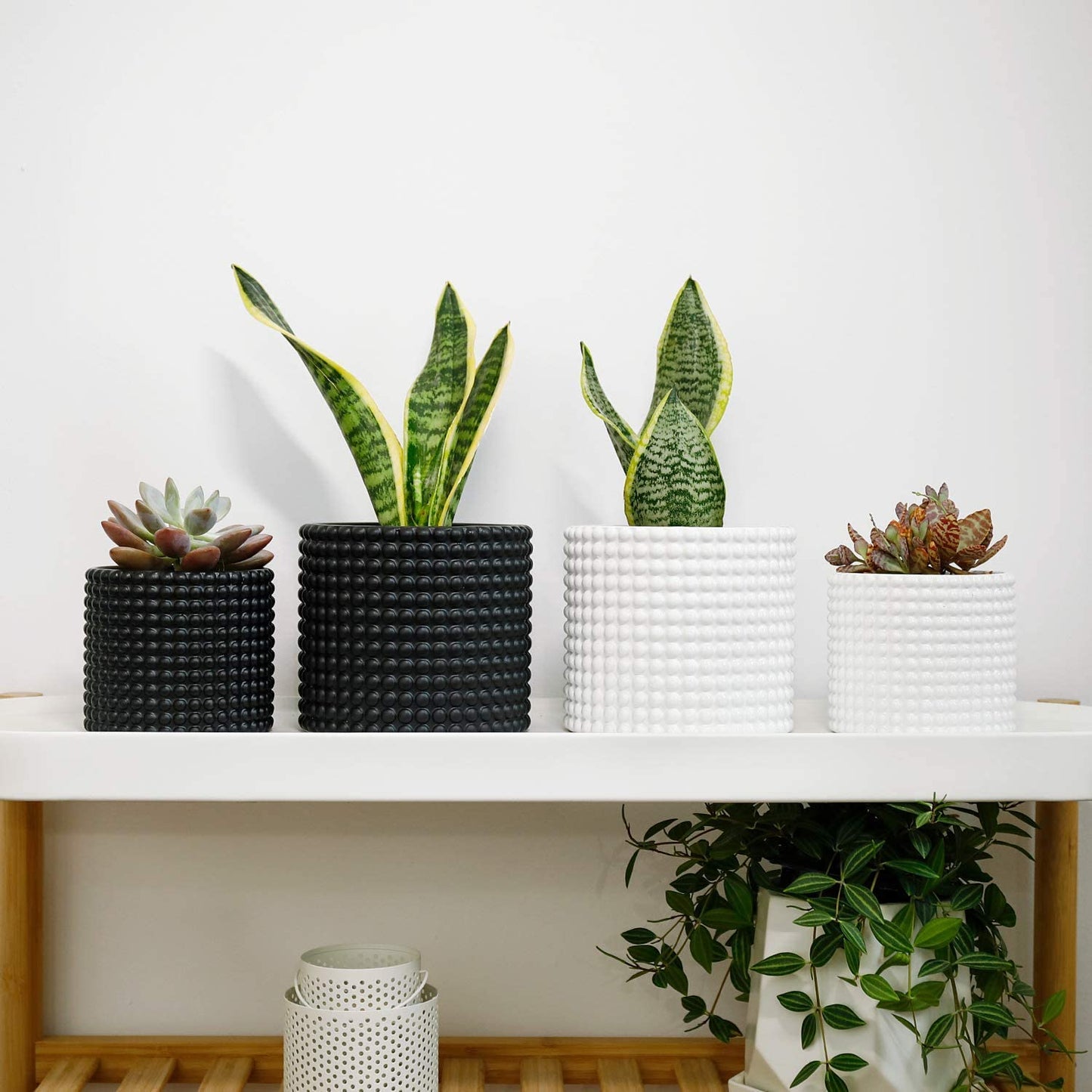 Black Ceramic Vintage Style Hobnail Patterned Planter Pots 6 and 5 Inch Containers with Watering Drain Plug for Indoor Succulent Plants or Flowers
