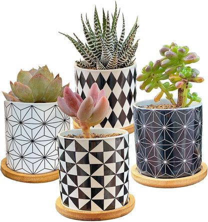 Set of 4 ceramic succulent planters with geometric patterns and bamboo trays.